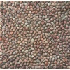 Pebble Stone