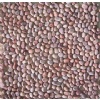 Pebble stone on net,gravel, pebble