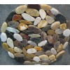 Pebble stone on net,mixed flat pebble Pebble stone on net,mixed flat pebble