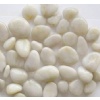 White Pebble Stone