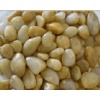 Yellow Pebble
