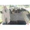 great chinese black granite tombstone