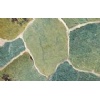 Flagstone