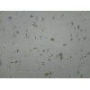 Manmade Stone, Crystallized stone