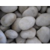 white Pebble Stone