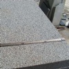 Paving Stone SL370179