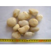 Honed Pebble Stone