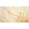 Beige Marble Blocks