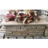 G682,Chinese yellow  granite,garden stone