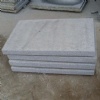 Paving Stone