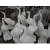 Stone Carvings