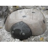 Animal Carvings