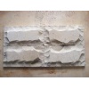 Limestone Mushroom