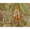 Verde Multi