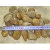 Yellow Pebble
