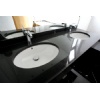 Shanxi black Vanity Top