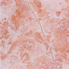 Qatranah Red Marble - Jordanian Stone