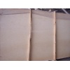 sunny yellow marble slab