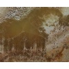 Tigers Eye Caramel