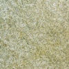 Granite G350