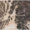 Fei Coral Marble