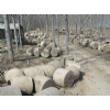 Antique Roller Stone