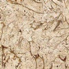 Croatla Beige Marble