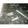 Moroccan Black Fossil