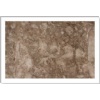 Desert Bronze