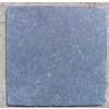 Antiqued Fossils Bluestone