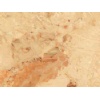 Breccia Aurora
