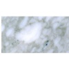 Bianco Brouille