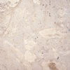 Dominican Classic Coral Stone Tiles