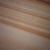 Teakwood Sandstone
