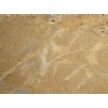 sahara gold