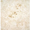 Mexican Shellstone