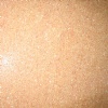 Lumachelle Limestone