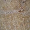 Golden Sun Granite