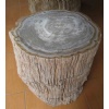 petrified wood Top Polished Stools