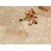 Classic Mixed Honed & Filled Travertine Tiles