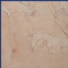 Pink Persia NEW EXCLUSIVE MARBLE