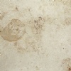 Jura Beige Honed Limestone