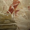 Breccia Ponlificia Marble