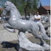 Sculpture - grey granite polished horse
