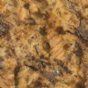 Golden Persa