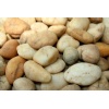 Yellow Pebble