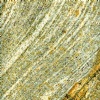 Golden Juparana