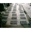 Black basalt paving stone