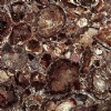 Semi Precious Stone - Brown Petrified Wood