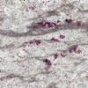 River White Granite Tiles